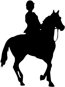Silhouette Of Foal, Black Silhouette Of Horse Rider - Calories Burnt Horse Riding (243x308)