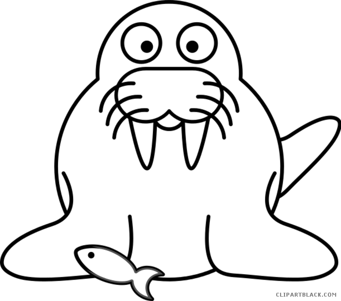 Walrus Animal Free Black White Clipart Images Clipartblack - Walrus Cartoon (700x619)