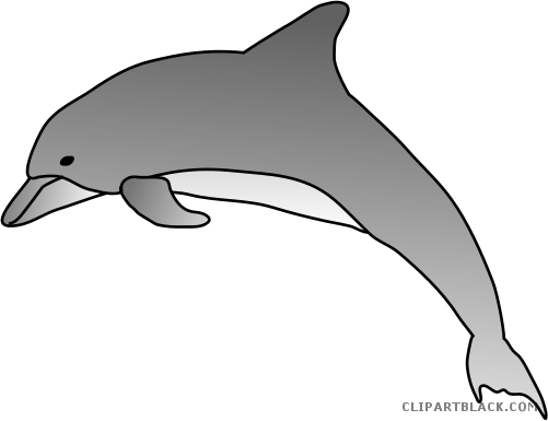 Bottlenose Dolphin Clipart - Bottlenose Dolphin Drawing (501x385)