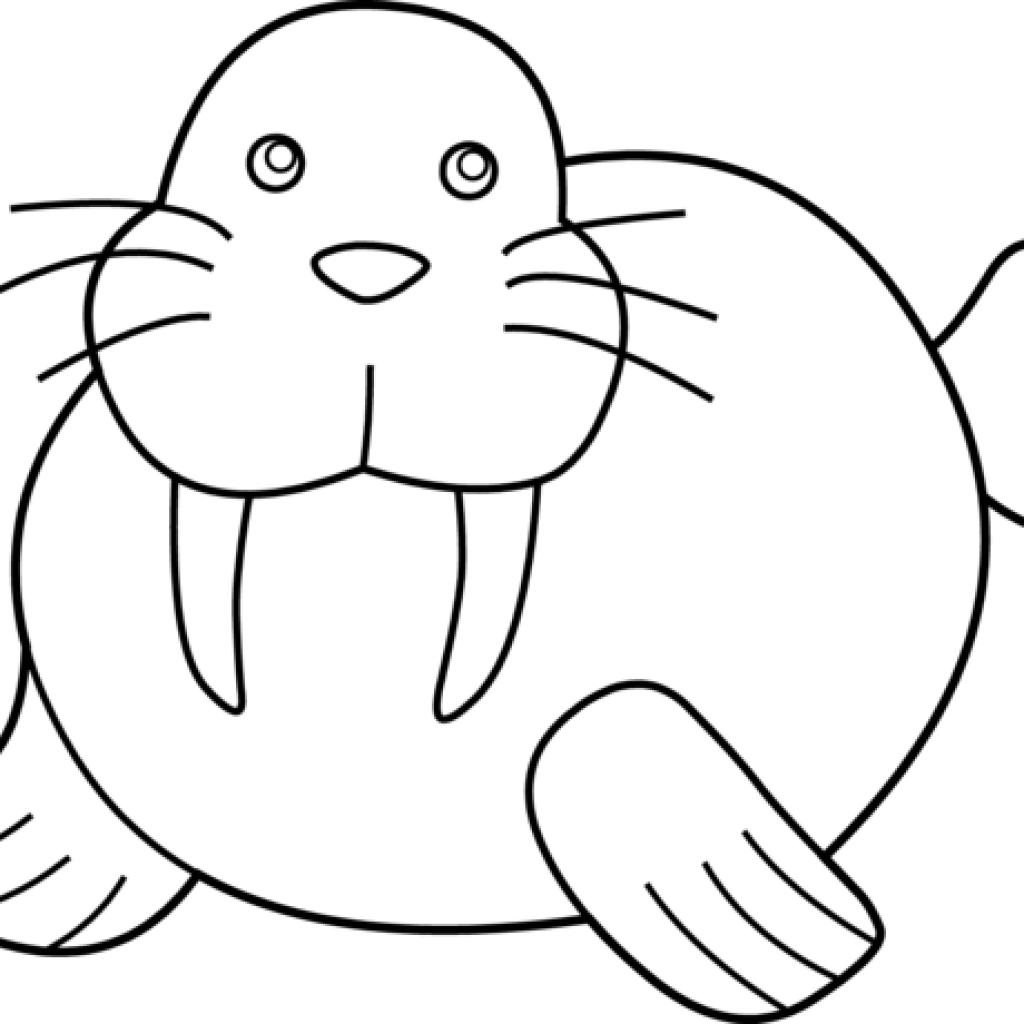 Walrus Clipart Walrus Clip Art Free Clipart Panda Free - Cute Fish Clip Art Black And White (1024x1024)