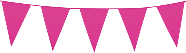 Bunting Pe 10m - Boland 10m Coloured Giant Pennant Bunting Party Banner (650x650)