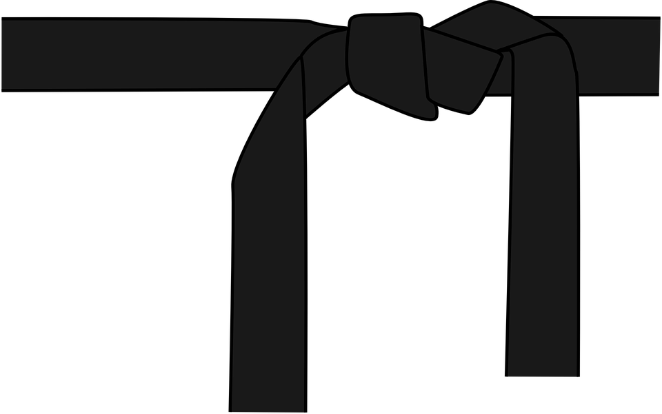 Moves Clipart Black Belt Karate - Black Belt With Red Stripe (960x601)