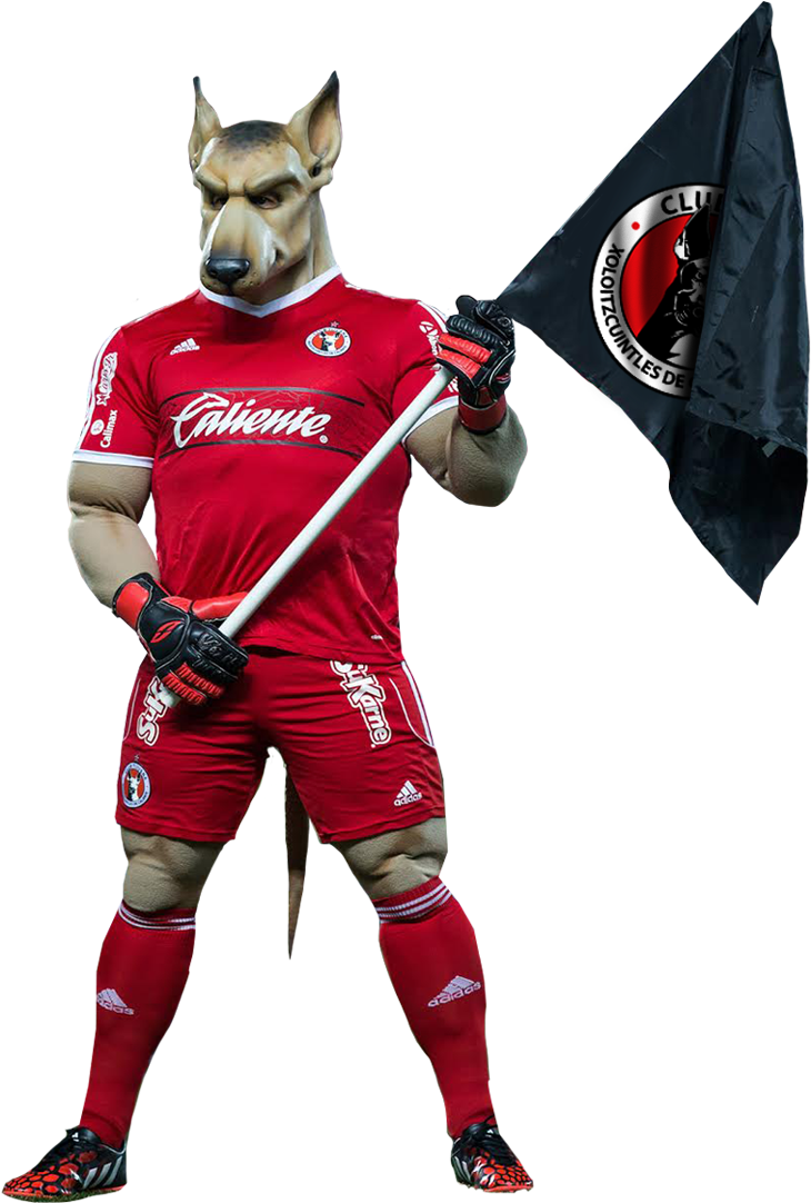 Goaltender Mask (924x1260)