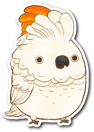 Moluccan Cockatoo Sticker - Molloucan Cockatoo (480x480)