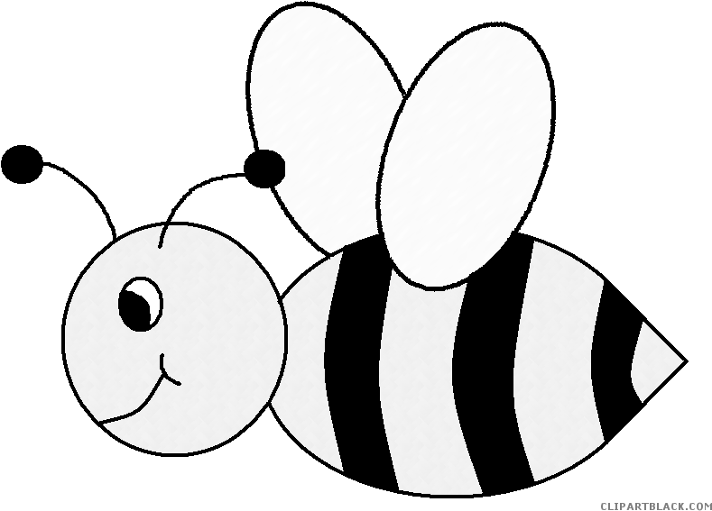 Cute Bee Animal Free Black White Clipart Images Clipartblack - Bee Clip Art (813x587)