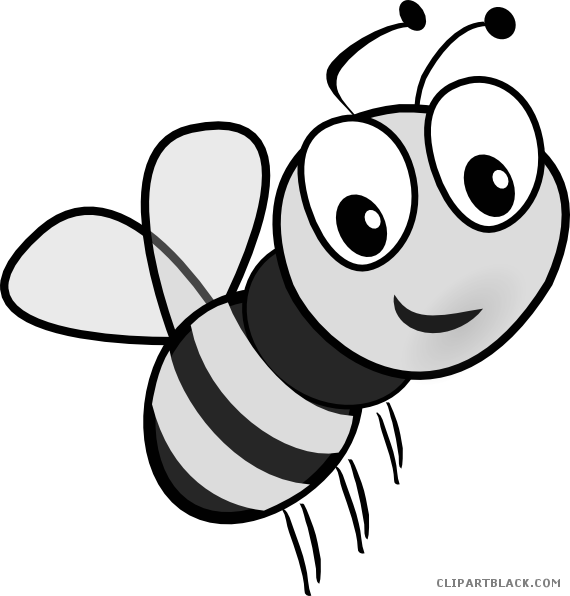 Busy Bee Animal Free Black White Clipart Images Clipartblack - Bee Cartoon (570x596)