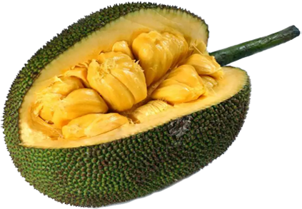 Jackfruit - Does Jackfruit Taste Like (432x360)