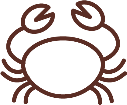 Lobster / Shellfish - Caranguejo Desenho Para Colorir (487x469)