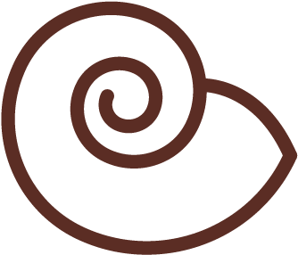 Mollusk - Nose On The Snowman (487x469)