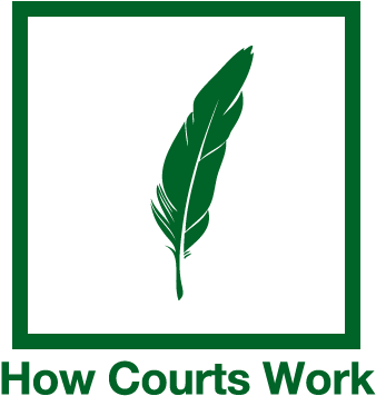 The Judicial Branch Must Apply The Existing Laws To - Playstation Network (460x460)