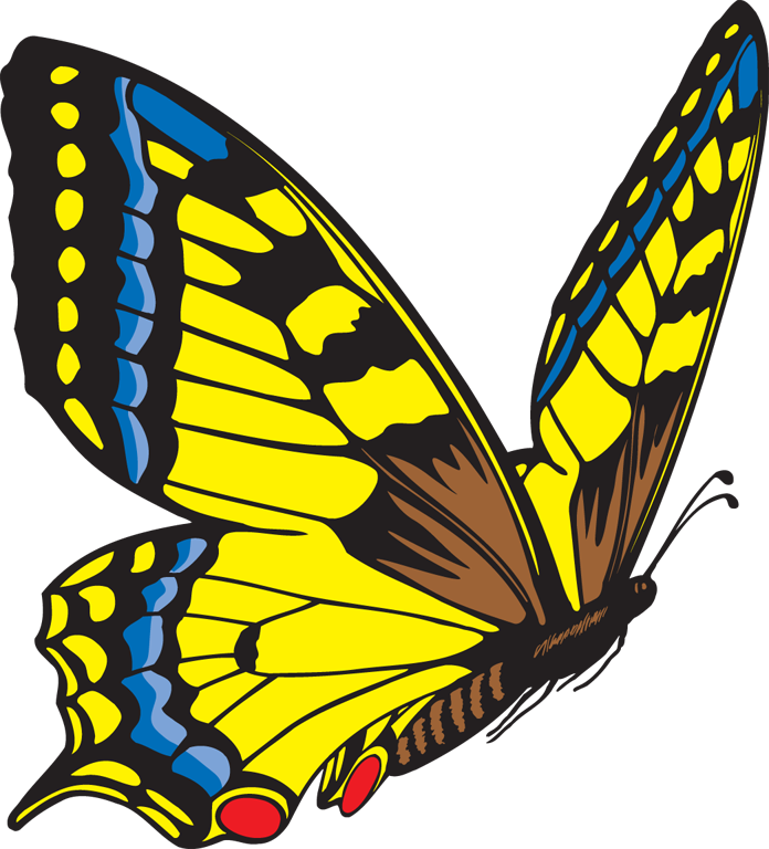 Butterfly Clipart Free Images - Butterfly Blue And Yellow (696x768)