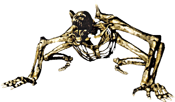 Dark Souls Skeleton Beast - Dark Souls Skeleton Beast (574x346)