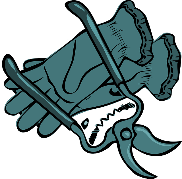 **pruning Class Rescheduled Due To Weather - Clip Art (640x631)