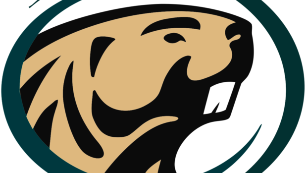 College Men's Hockey Preview - Bemidji State University Beaver (860x484)