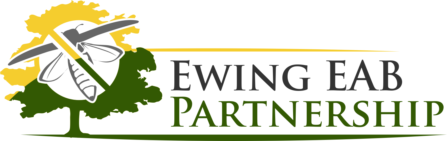 This Program Is Being Provided By The Ewing Eab Partnership, - Illustration (1551x492)