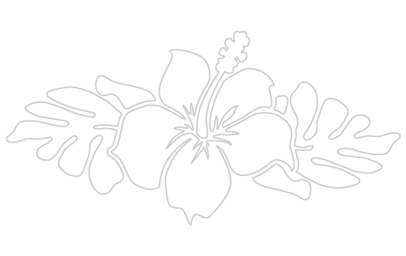 Orange County (584x368)