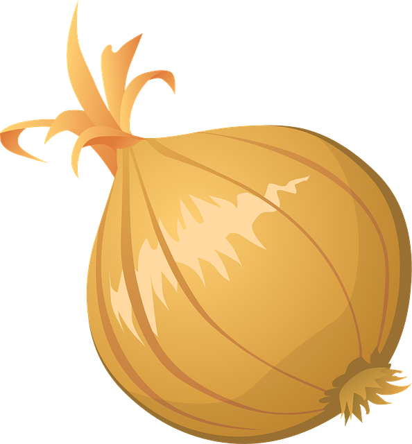 ½, Onion - Onion Clip Art (594x640)