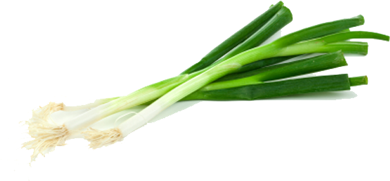 Green Onion Transparent Png - Green Onion Transparent Background (600x348)