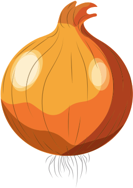 Fresh Onion Natural Vegetable Nutrition - Yellow Onion (550x550)