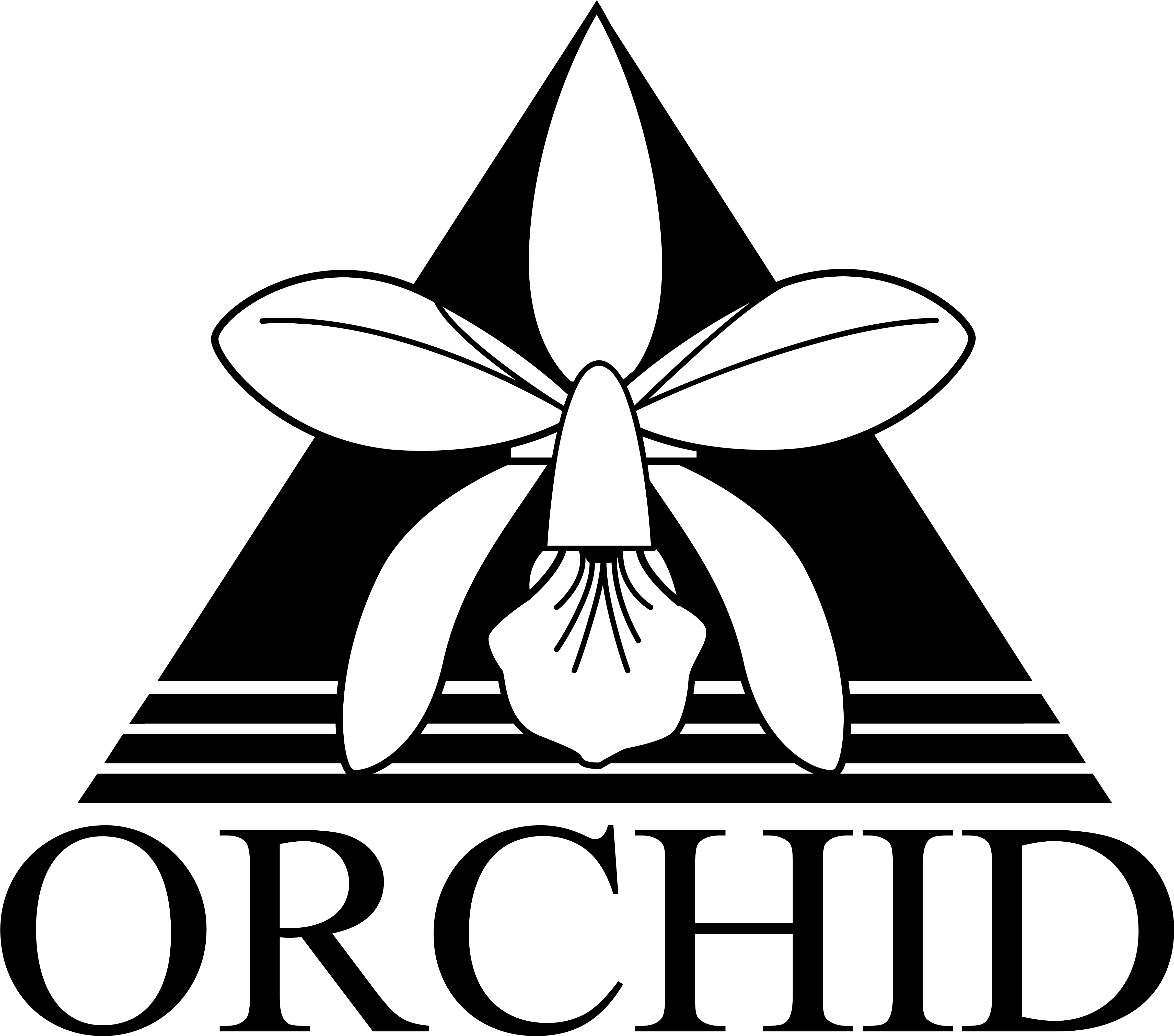 I Could Not Find A Good Quality Orchid Technology Logo - Hereford Community Foundation (4667x4764)
