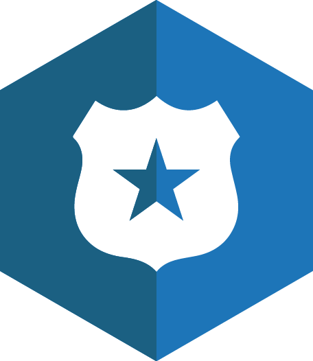 Law Enforcement - Law Enforcement System Icon (456x526)