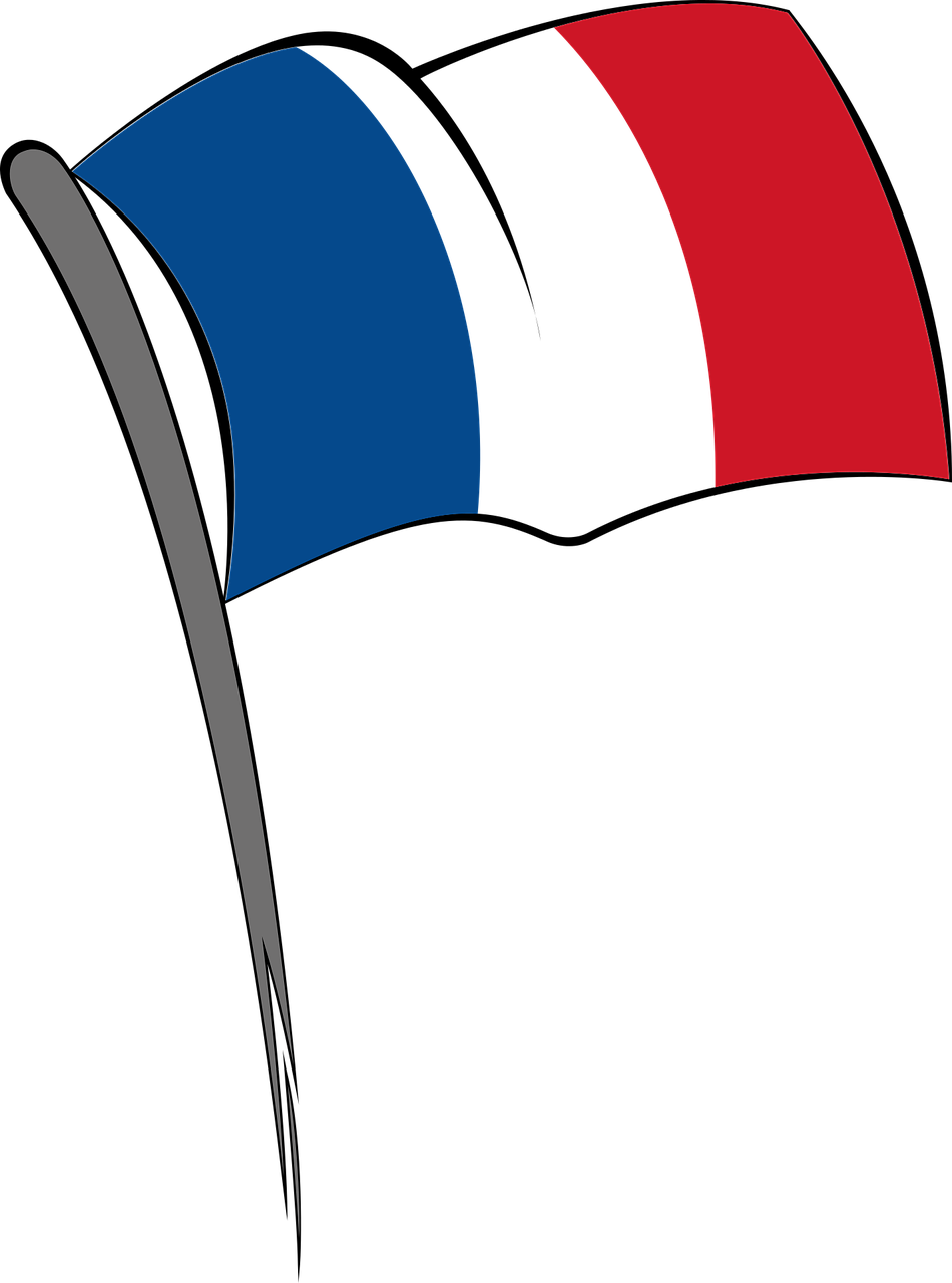 France, Flag, France, Blue White Red, Striped - Drapeau Français Vectoriel (950x1280)