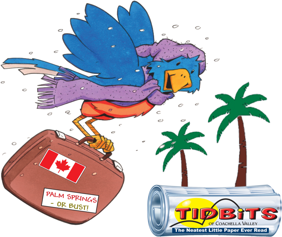 Snowbird Flying With Suitcase And Paper Clip Art Of - Snowbirds Cartoon (1024x1024)