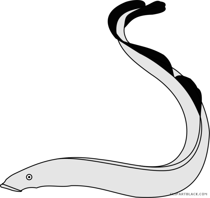 Eel Animal Free Black White Clipart Images Clipartblack - Eel Animal Free Black White Clipart Images Clipartblack (700x660)
