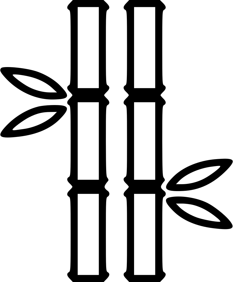 Bamboo Comments - Bamboo (810x980)