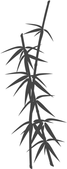 Bamboo - Bamboo Silhouette (800x550)