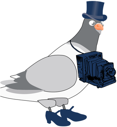 Vector Graphics Of Pigeon With Camera - Pombo Azul Png Transparente (500x500)