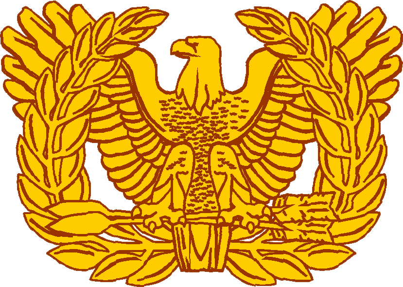 Warrant Officer - Signalwarrant - Warrant Officer Eagle Rising (829x590)