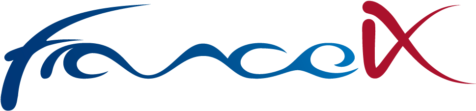 France-ix Logo In Png - France Ix Logo (1000x266)