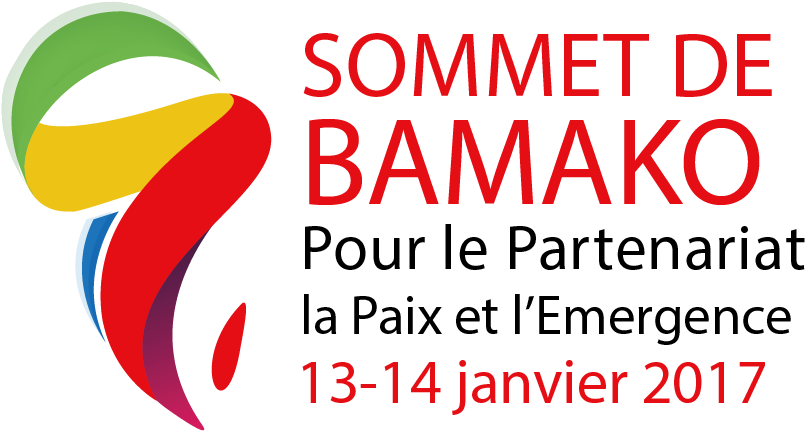 The Bamako Summit For Partnership, Peace And Emergence - European Year Of Volunteering 2011 (856x430)