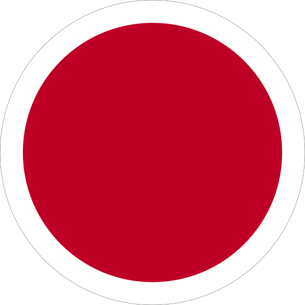 L'aviazione Giapponese Non Era Una Forza Armata Indipendente, - Portrait Of A Man (1200x1200)