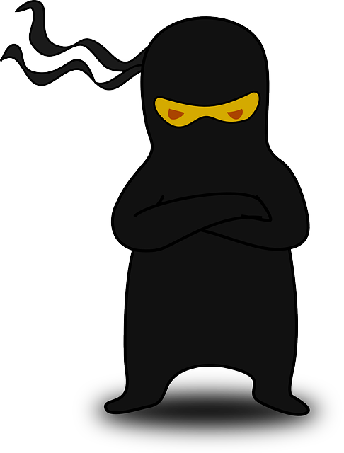 Eyes Ninja, Fighter, Japanese, Samurai, Stern, Eyes - Cartoon Ninja Transparent (486x640)