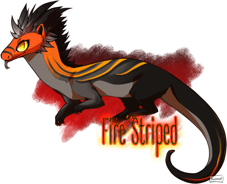 Fire Striped [closed] By Pseudodragons-den - Illustration (900x735)