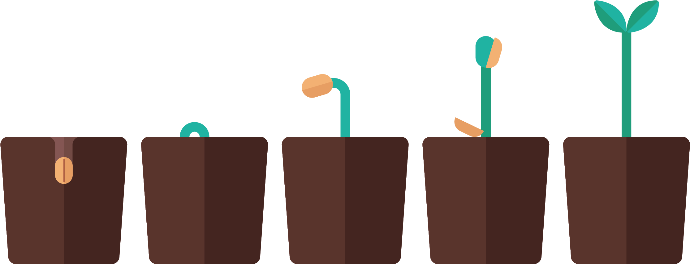 Journey Planting Seed - Seed (2279x900)