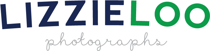 Louisville Wedding Photographer Making Louisville Family - Electric Blue (792x225)