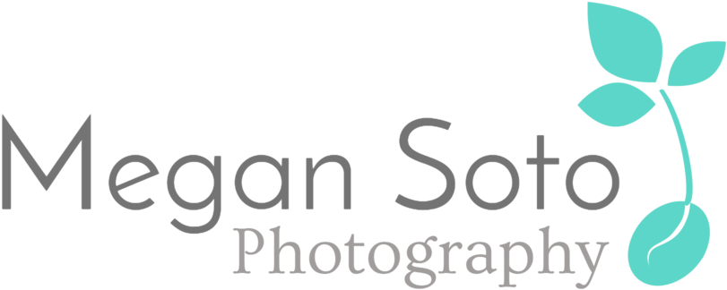 Augustine Lifestyle Family Photographer - Augustine Lifestyle Family Photographer (1000x501)