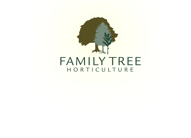 Family Owned And Operated Horticulturists And Landscapers - American Pitch Pine (860x620)