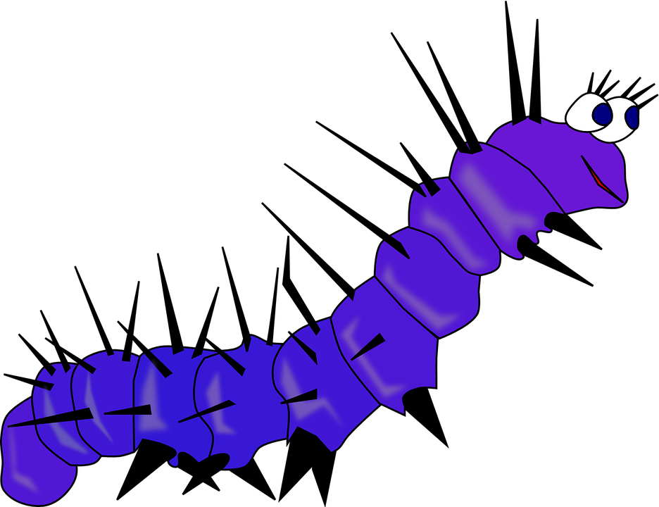 Caterpillar Gusano Clipart - Catarpiller Clipart Png (637x900)