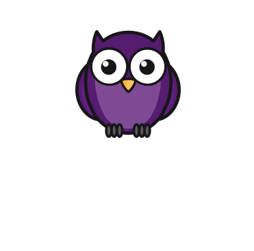 Your Night Starts Here - Nighthawk Pro Gaming Logo (371x366)