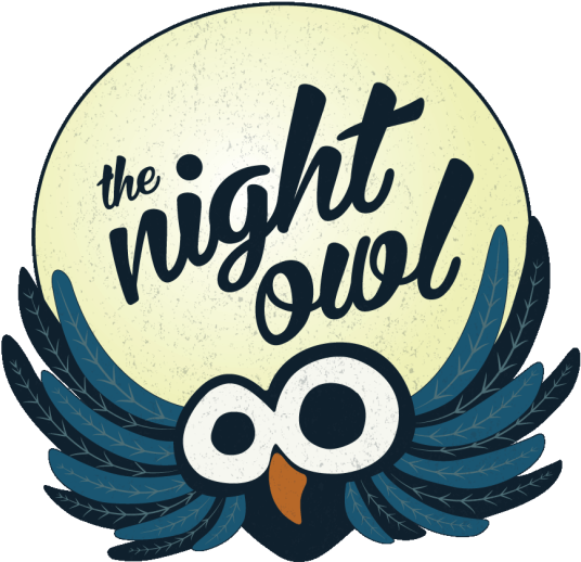Pin Night Owl Clipart - Cartoon Night Owl Png (800x533)