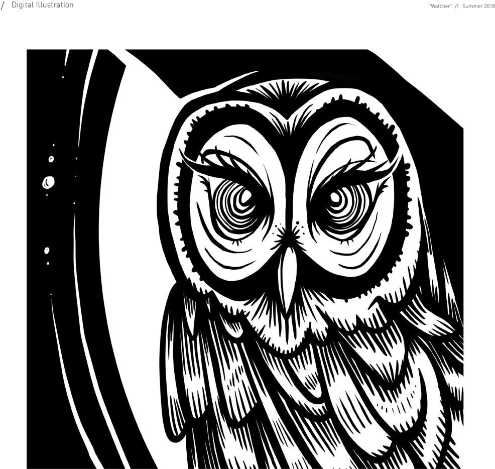 Night Owl - Illustration (1000x941)