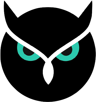 Photo Stock - Night Owl (405x422)