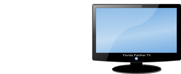 Florida Panther Clip Art At Clker - Computer Monitor (600x248)
