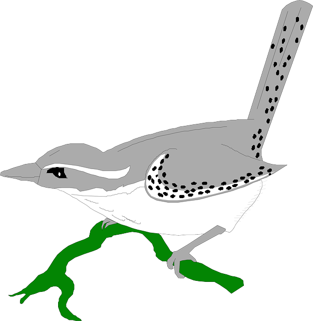 Wren Green, Bird, Wings, Animal, Stem, Feathers, Wren - Wren (625x640)