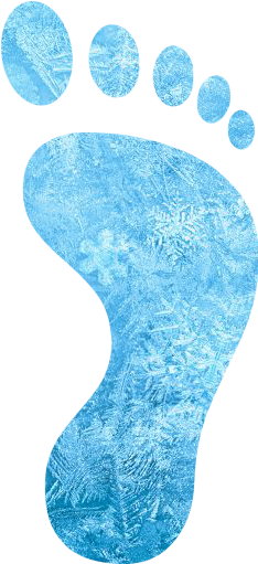 Ice Right Footprint Icon - Footprint Icon Green Png (512x512)