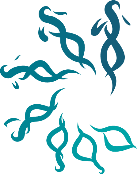 21st Annual Conference - Illustration (447x567)